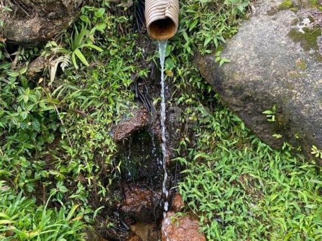 Terreno venda em Região Geográfica Imediata de Brusque, Nova Trento