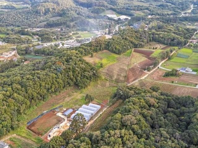 Terreno venda em Região Geográfica Imediata de Curitiba, Região Metropolitana de Curitiba