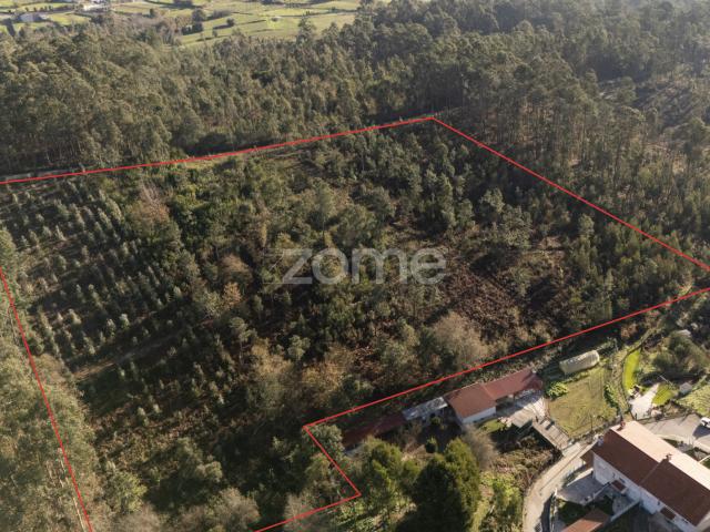 Terreno venda em Santa Maria Da Feira, Aveiro