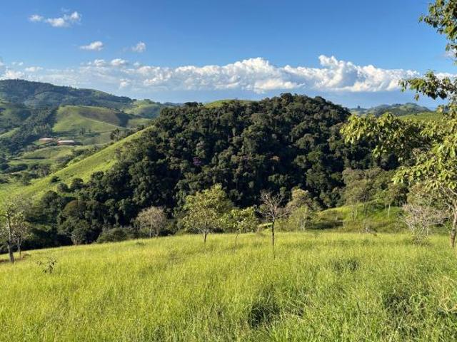 Terreno venda em Paraisópolis