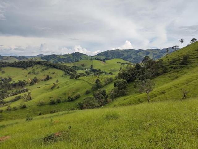 Terreno venda em Região Geográfica Imediata de Pouso Alegre, Córrego do Bom Jesus