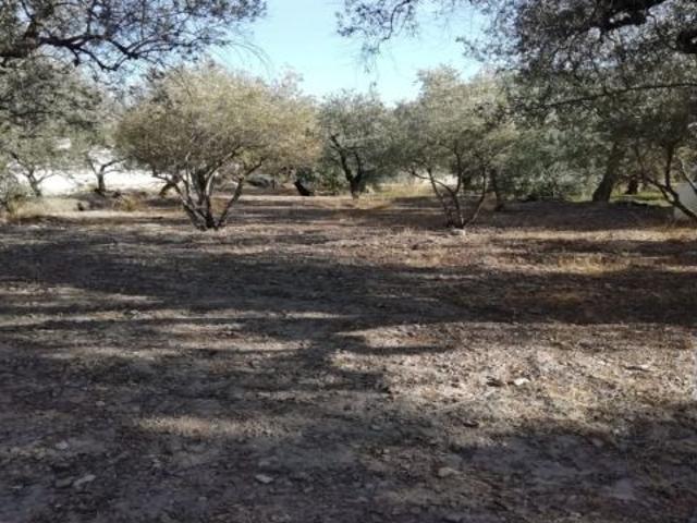 Local Comercial en venta en Berja, Andalucía