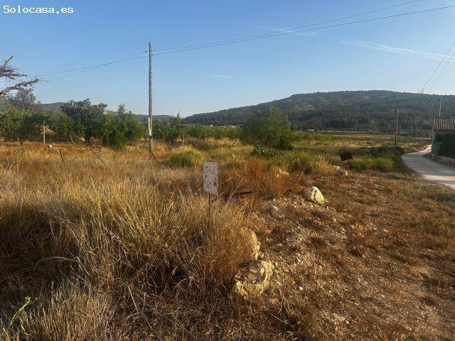 Local Comercial en venta en Cases del Senyor, el Vinalopó Mitjà / El Vinalopó Medio