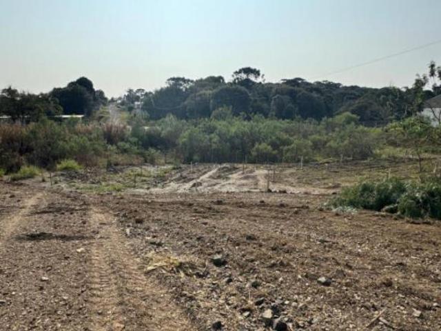 Terreno venda em Região Geográfica Imediata de Curitiba, Região Metropolitana de Curitiba