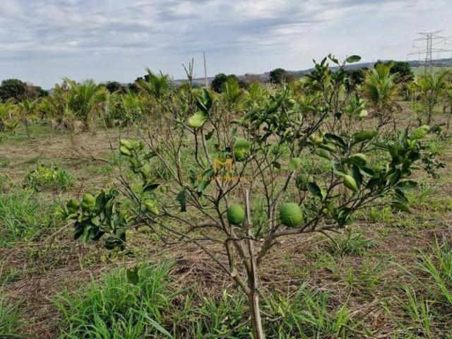 Terreno venda em Região Imediata de Campinas, Região Metropolitana de Piracicaba