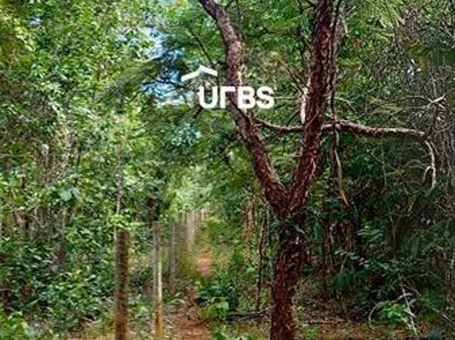 Terreno venda em Região Geográfica Imediata de Anápolis, Região Integrada de Desenvolvimento do Distrito Federal e Entorno