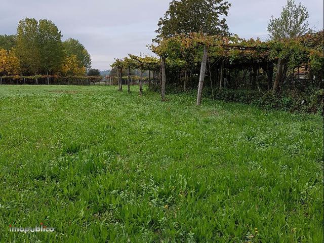 Terreno alugar em Ribeira do Neiva, Vila Verde