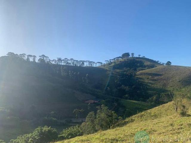Terreno venda em Região Imediata de Taubaté-Pindamonhangaba, Região Metropolitana do Vale do Paraíba e Litoral Norte