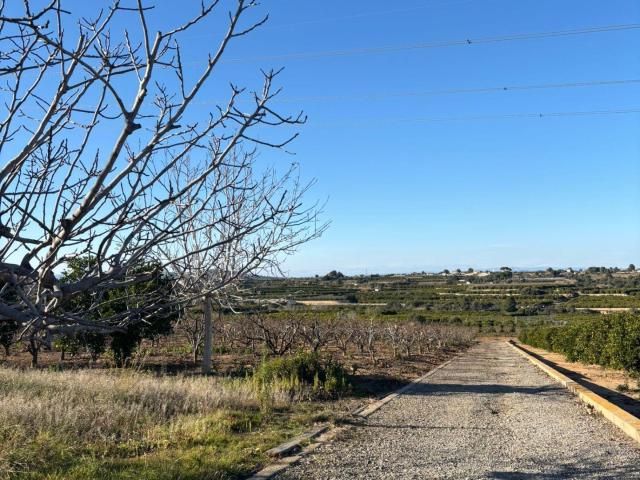 Terreno en alquiler en Picassent