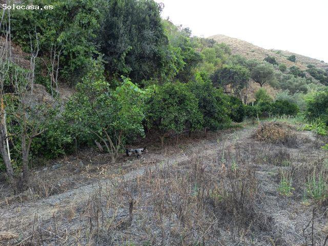 Local Comercial en venta en La Axarquía, Andalucía