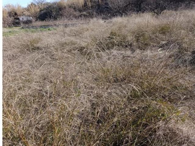 Local Comercial en venta en Campillo y Suertes, Noroeste