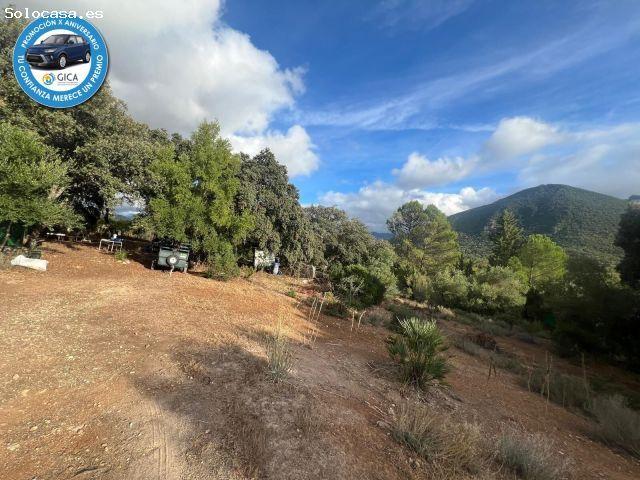 Local Comercial en venta en Sierra de Cádiz, Andalucía