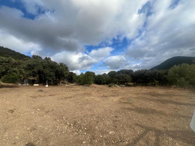 Terreno en venta en El Bosque, Cádiz