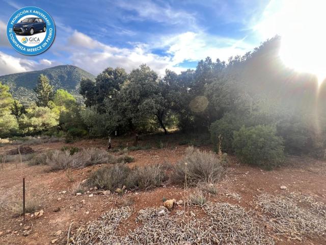 Terreno en venta en El Bosque, Cádiz