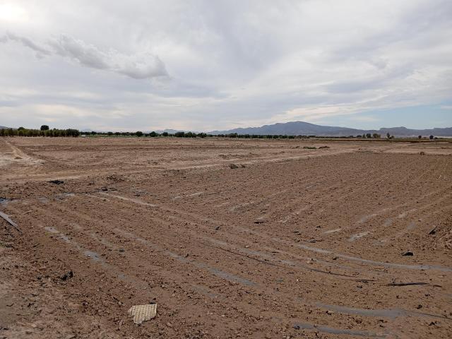 Terreno en venta en Raiguero Bajo, Bajo Guadalentín