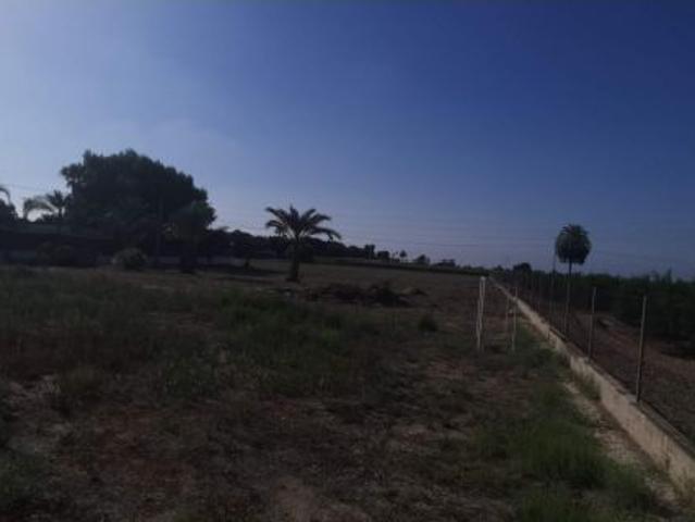 Local Comercial en venta en Perleta, el Baix Vinalopó