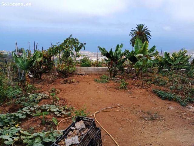 Local Comercial en venta en Santa Úrsula, Canarias