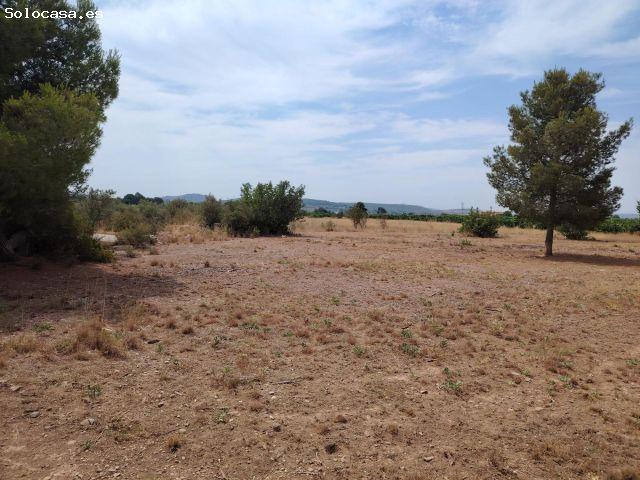 Local Comercial en venta en El Corral de la Marquesa, el Camp de Túria