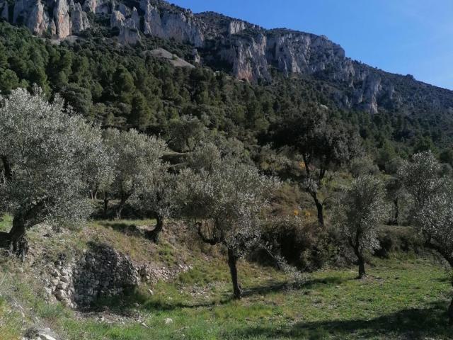 Terreno en venta en el Comtat, Valencia