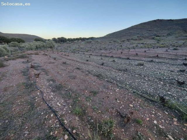 Local Comercial en venta en Alboloduy, Andalucía