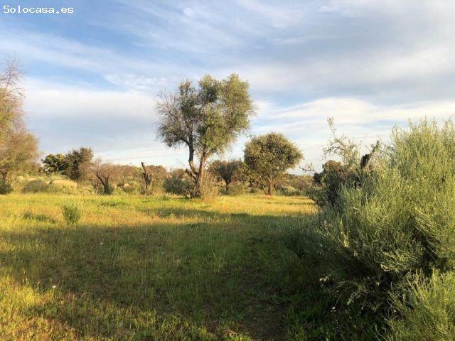 Local Comercial en venta en Aldea Del Cano, Extremadura
