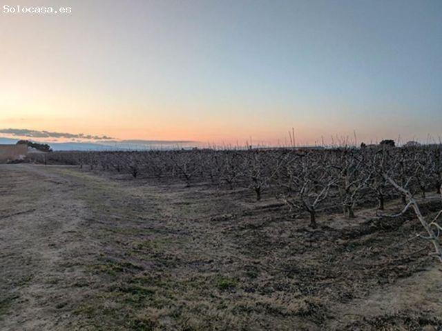 Local Comercial en venta en Alfaro, La Rioja