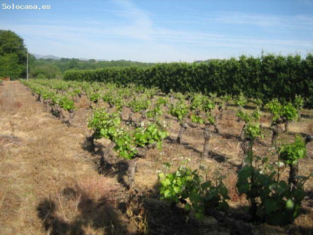 Local Comercial en venta en Villadepalos, El Bierzo