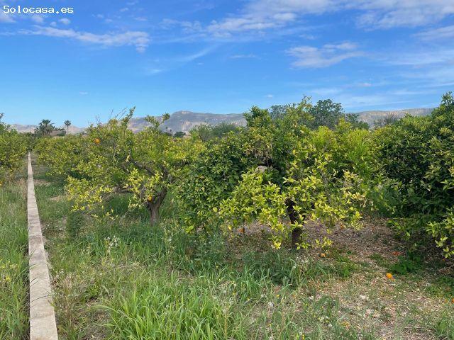 Local Comercial en venta en Aljucer, Área Metropolitana de Murcia