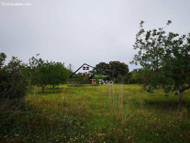 Local Comercial en venta en el Baix Maestrat, Valencia