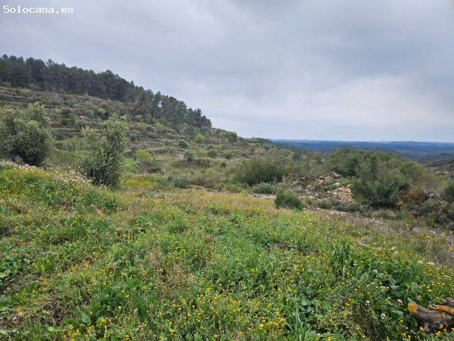 Local Comercial en venta en Garrigues, Catalunya