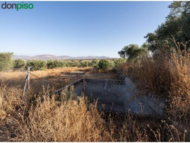 Local Comercial en venta en Comarca de la Vega de Granada, Andalucía