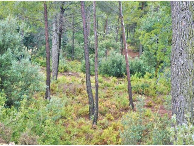 Local Comercial en venta en La Cañada, La Plana de Utiel-Requena