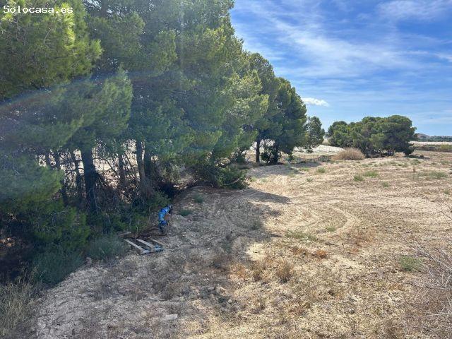 Local Comercial en venta en el Rebolledo, l'Alacantí