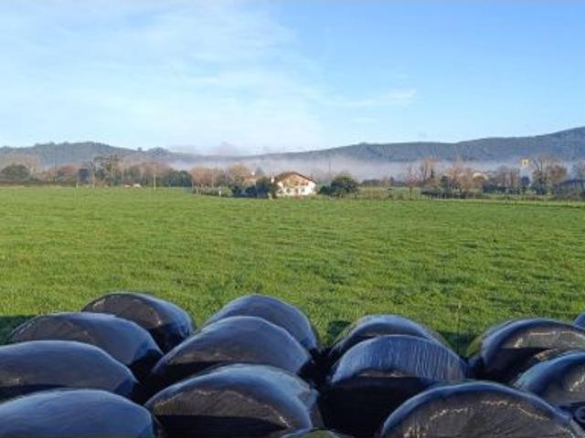 Local Comercial en venta en Escalante, Cantabria
