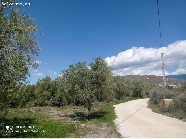 Local Comercial en venta en Gérgal, Andalucía