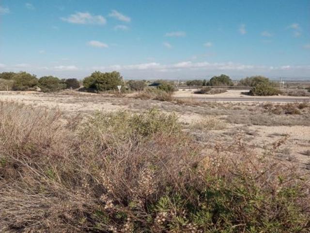 Local Comercial en venta en la Marina, el Baix Vinalopó