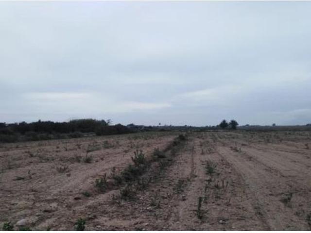 Local Comercial en venta en la Marina, el Baix Vinalopó