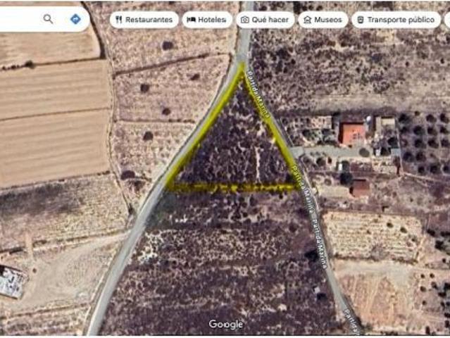 Local Comercial en venta en la Marina, el Baix Vinalopó