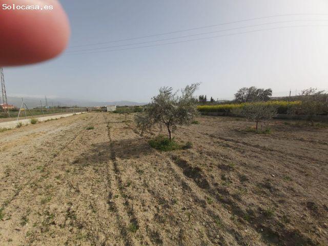 Local Comercial en venta en Híjar, Comarca de la Vega de Granada