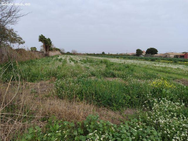 Local Comercial en venta en el Baix Segura / La Vega Baja, Valencia