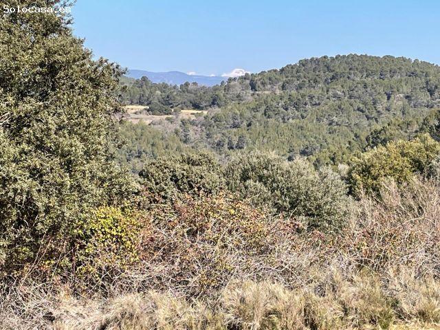 Local Comercial en venta en Cinco Villas, Aragón