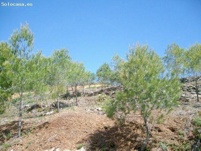 Local Comercial en venta en Baix Penedès, Catalunya