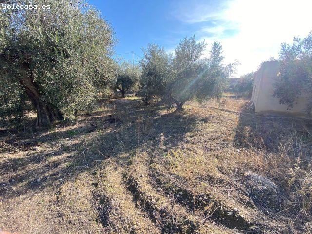 Local Comercial en venta en Moratalla, Región de Murcia