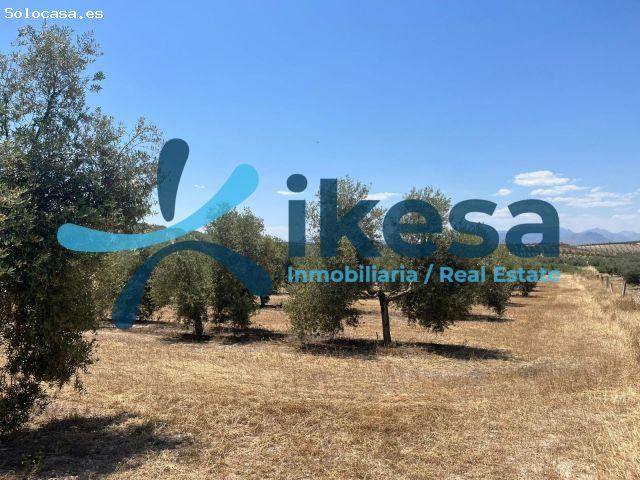 Local Comercial en venta en Peal De Becerro, Andalucía