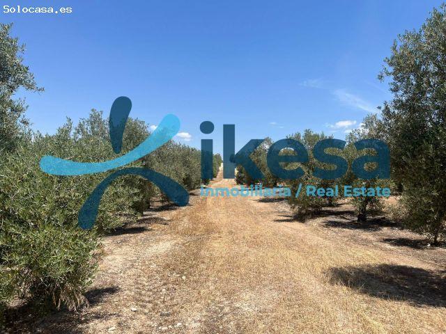Local Comercial en venta en Peal De Becerro, Andalucía