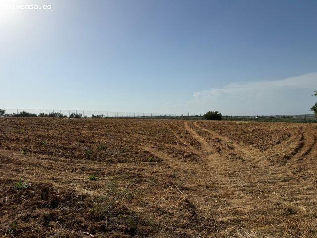 Local Comercial en venta en Cerro de Robaina, Pilas