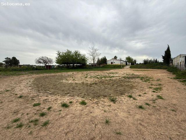 Local Comercial en venta en Pilas, Sevilla