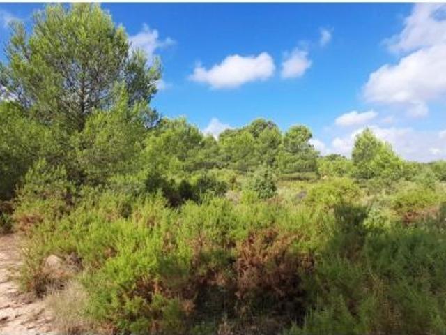Local Comercial en venta en Los Pedrones, La Plana de Utiel-Requena