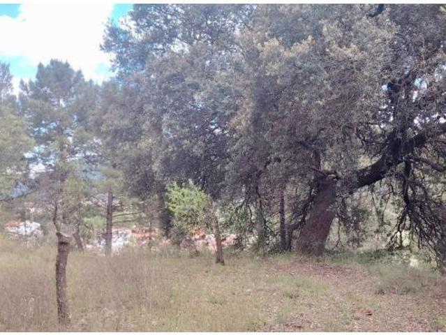 Local Comercial en venta en Riópar, Castilla-La Mancha