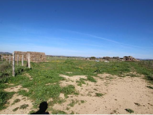 Local Comercial en venta en Cinco Villas, Aragón